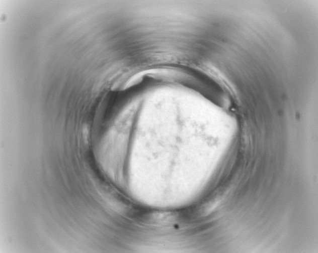 X0000088650117200706221620