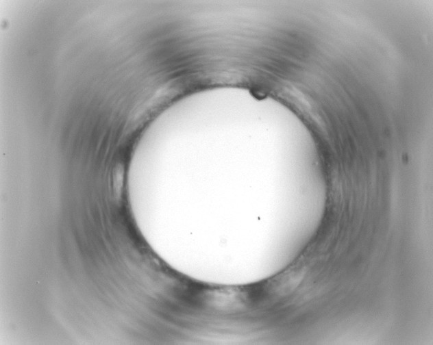 X0000088650118200706221620