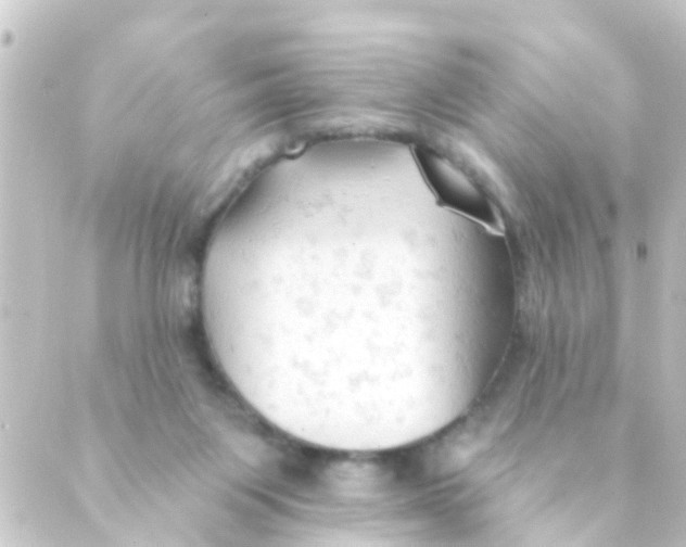 X0000088650119200706221620