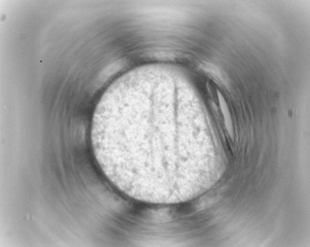 X0000088650120200706221620