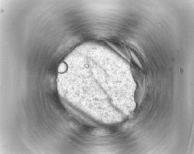 X0000088650123200706221620