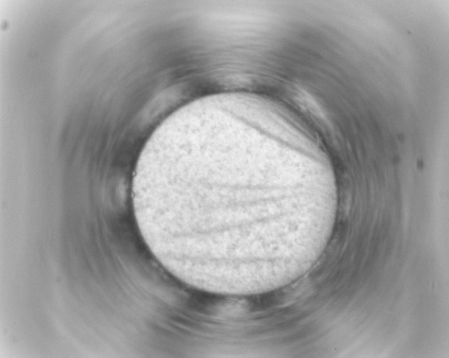 X0000088650124200706221620