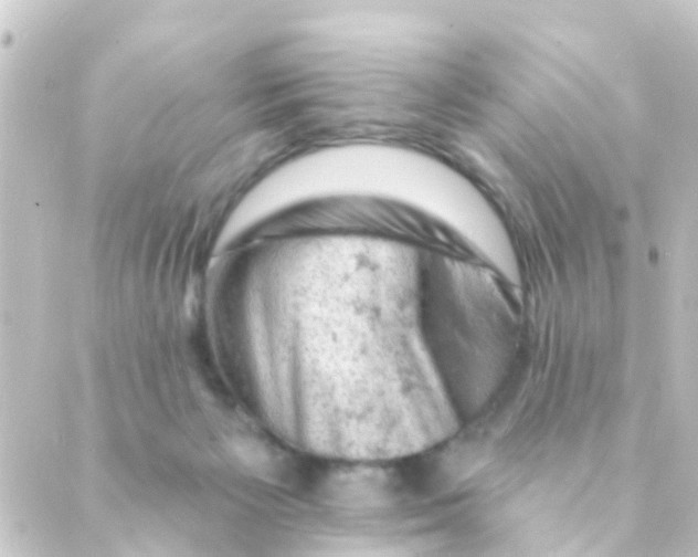 X0000088650125200706221620