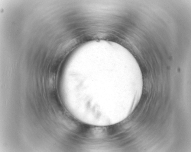 X0000088650126200706221620