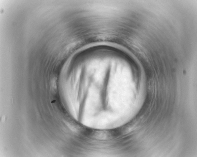 X0000088650127200706221620