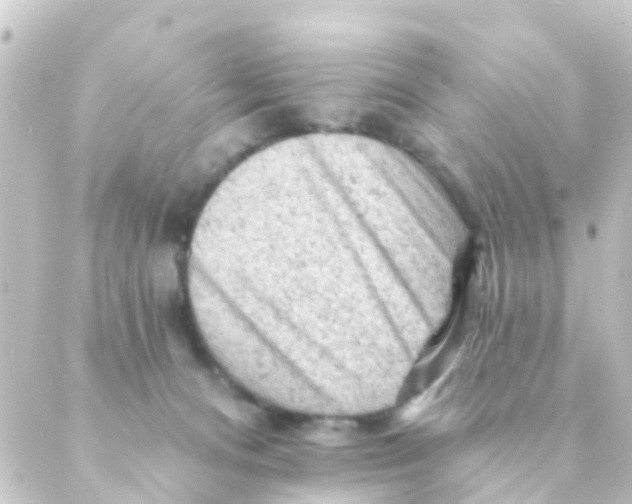 X0000088650128200706221620