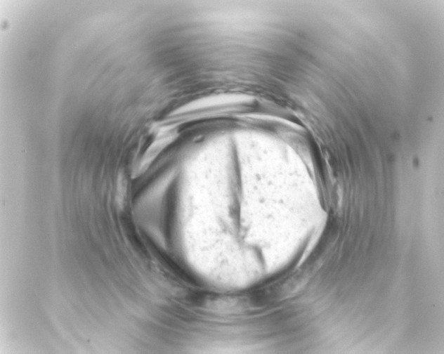 X0000088650129200706221620