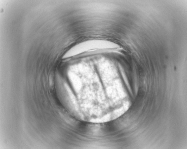 X0000088650131200706221620