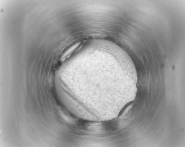 X0000088650132200706221620