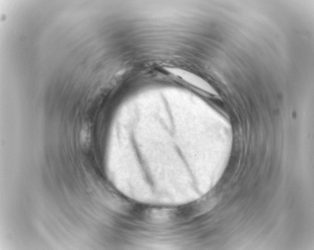 X0000088650134200706221620