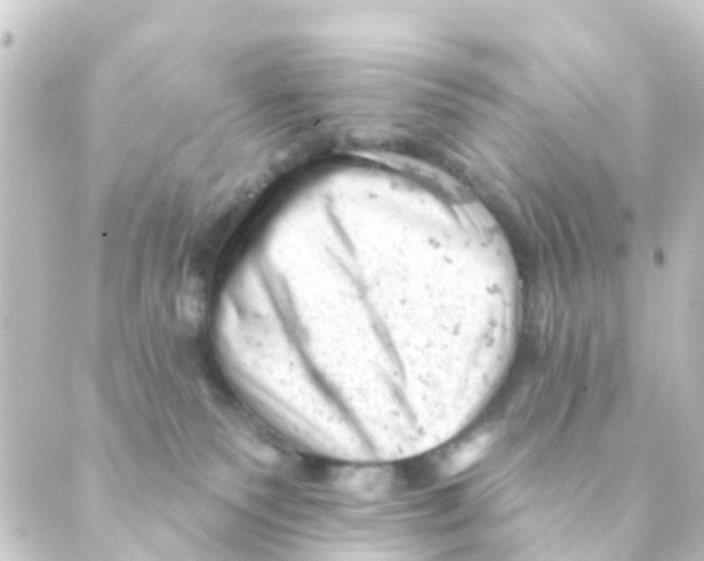 X0000088650135200706221620