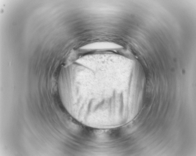 X0000088650136200706221620