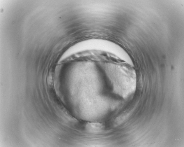 X0000088650137200706221620