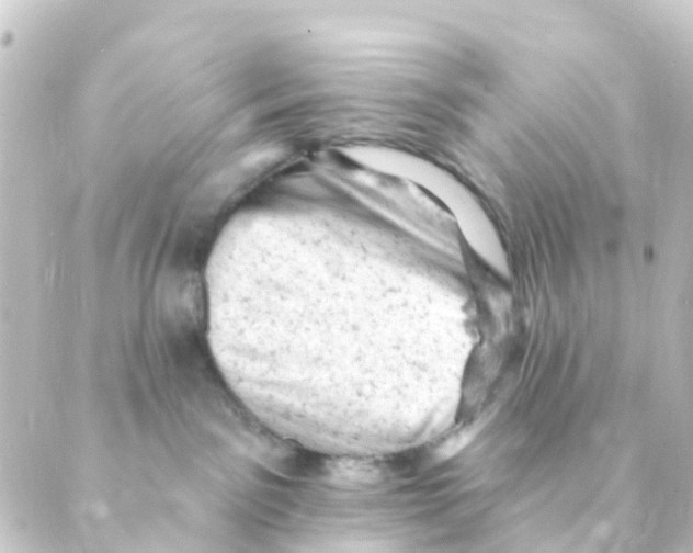 X0000088650141200706221620