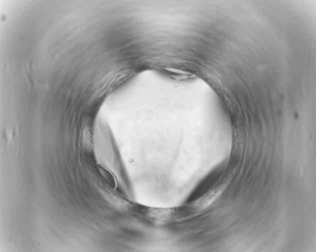 X0000088650143200706221620