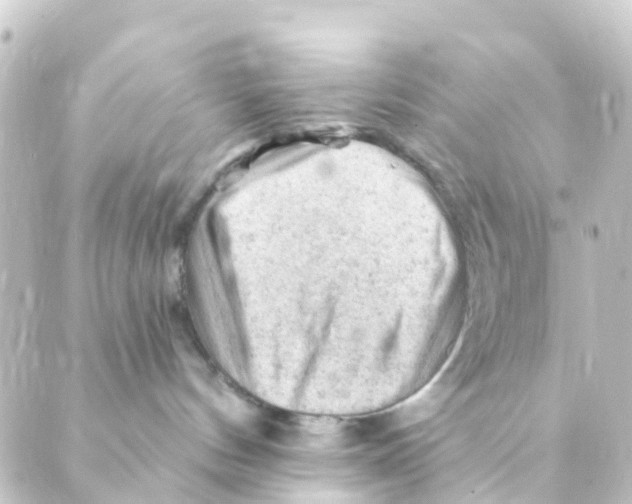 X0000088650144200706221620