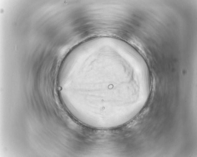 X0000088650145200706221619