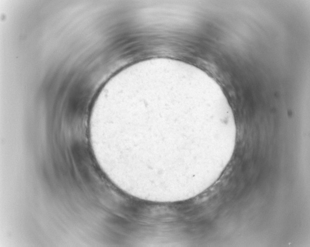 X0000088650146200706221619