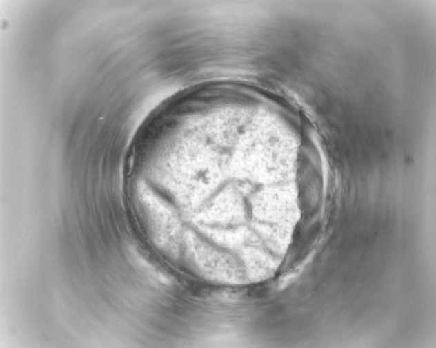 X0000088650148200706221619