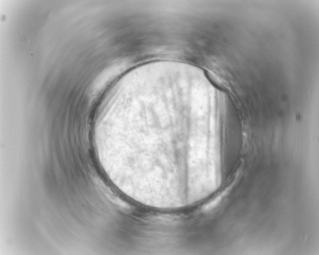 X0000088650149200706221619