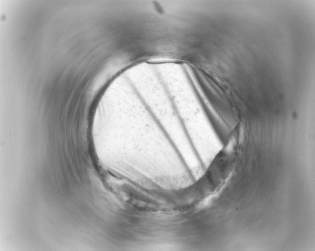 X0000088650150200706221619