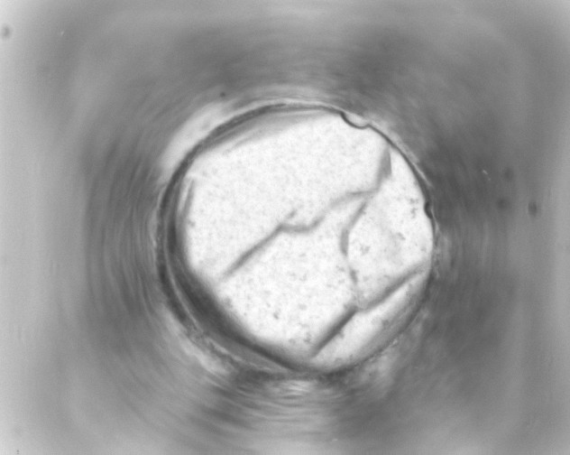 X0000088650151200706221619