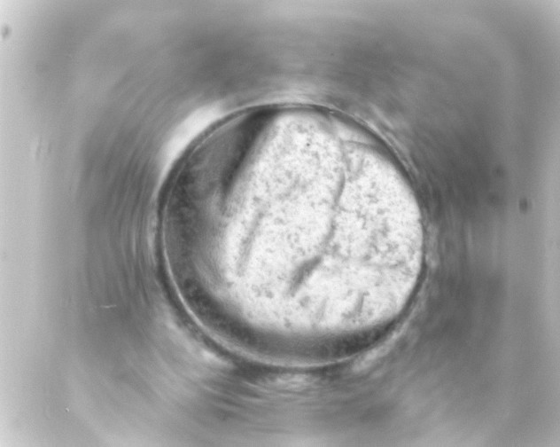 X0000088650152200706221619