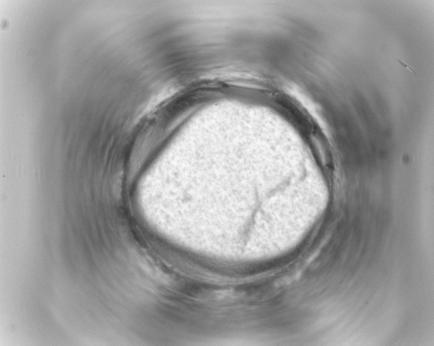 X0000088650153200706221619