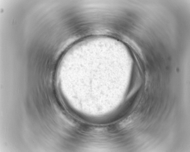 X0000088650155200706221619