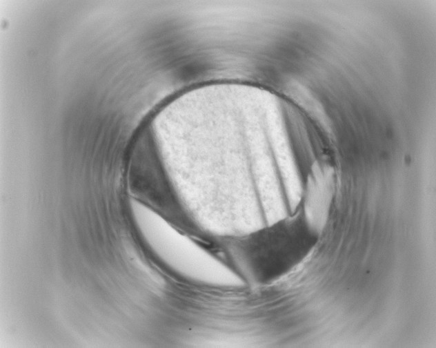 X0000088650156200706221619