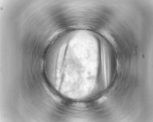 X0000088650157200706221619