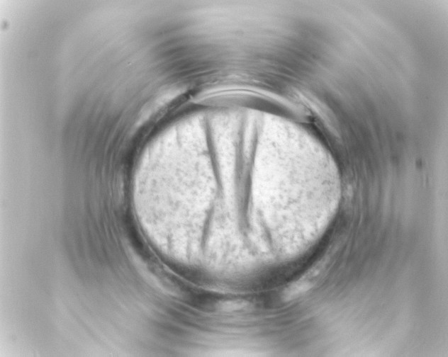 X0000088650158200706221619