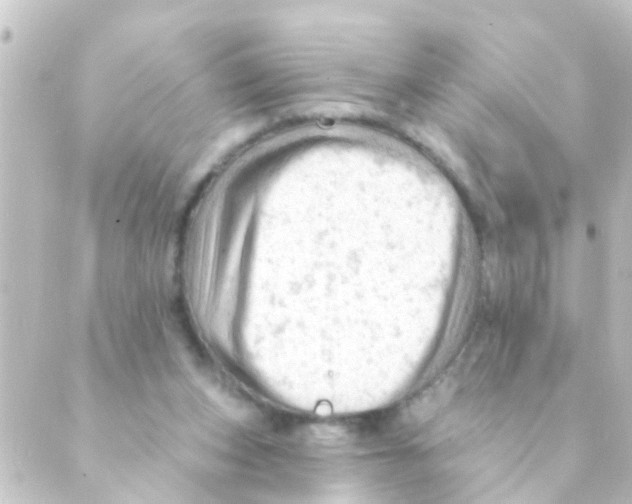 X0000088650159200706221619