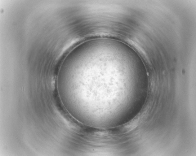 X0000088650160200706221619