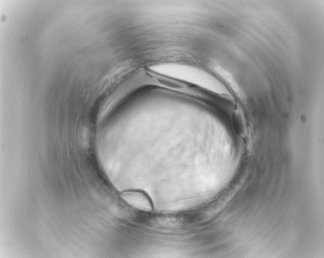 X0000088650161200706221619