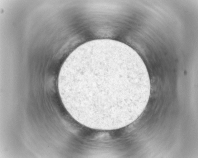 X0000088650162200706221619