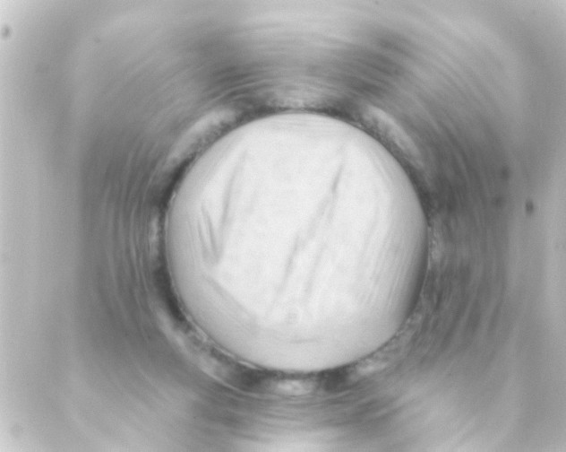 X0000088650163200706221619