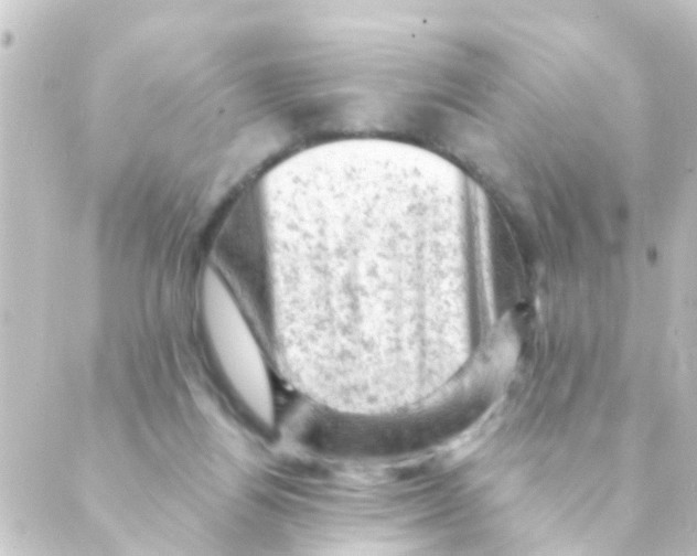 X0000088650164200706221619