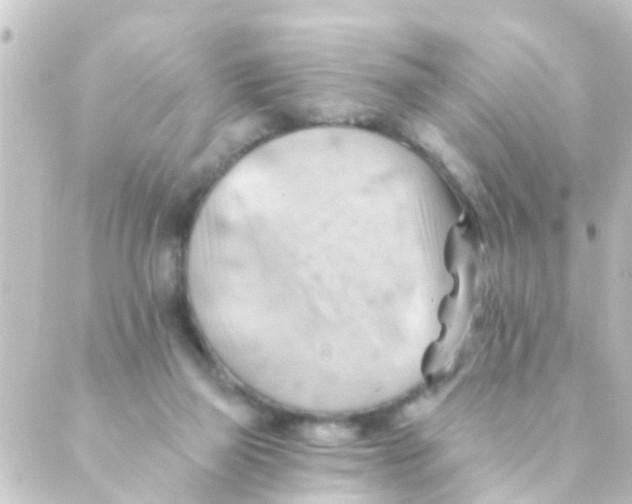 X0000088650165200706221619