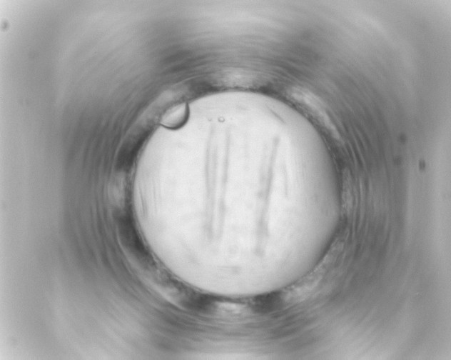 X0000088650167200706221619