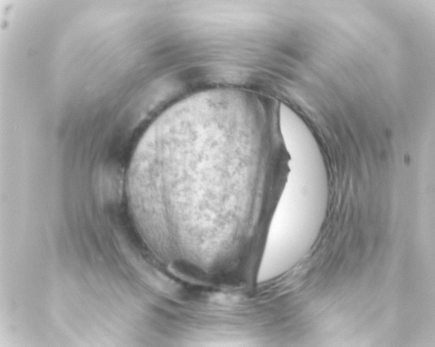 X0000088650168200706221619