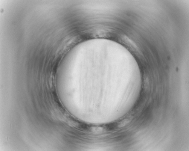 X0000088650169200706221619