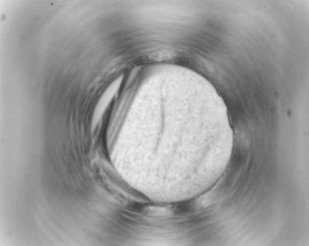 X0000088650170200706221619