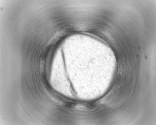 X0000088650171200706221619