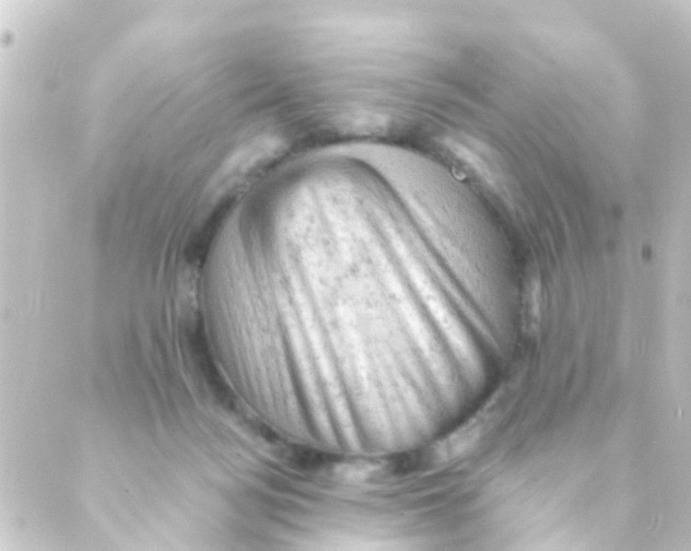 X0000088650172200706221619