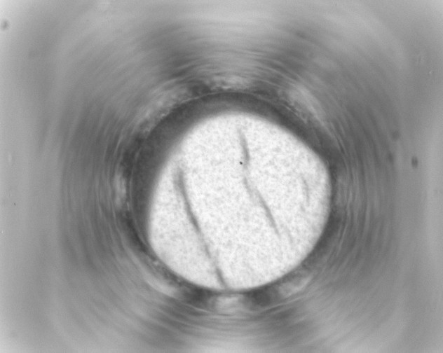 X0000088650173200706221619