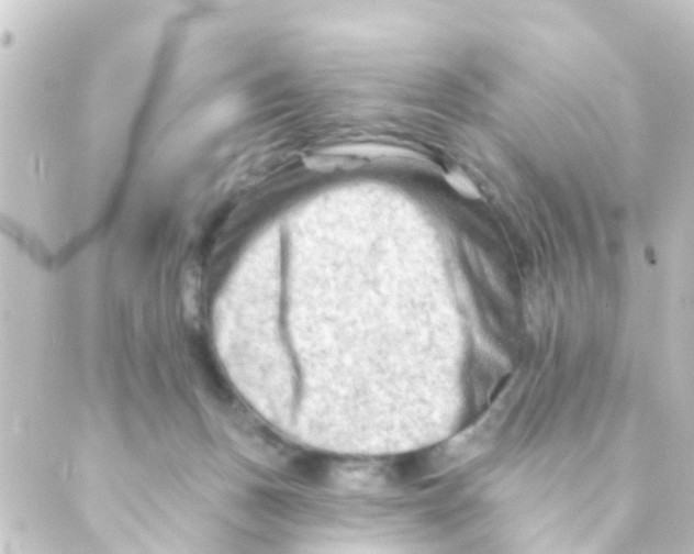 X0000088650175200706221619