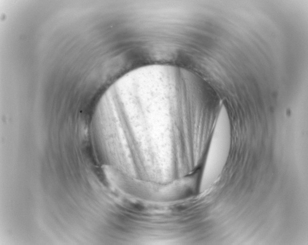 X0000088650176200706221619