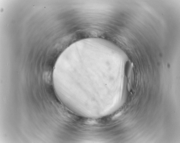 X0000088650177200706221619