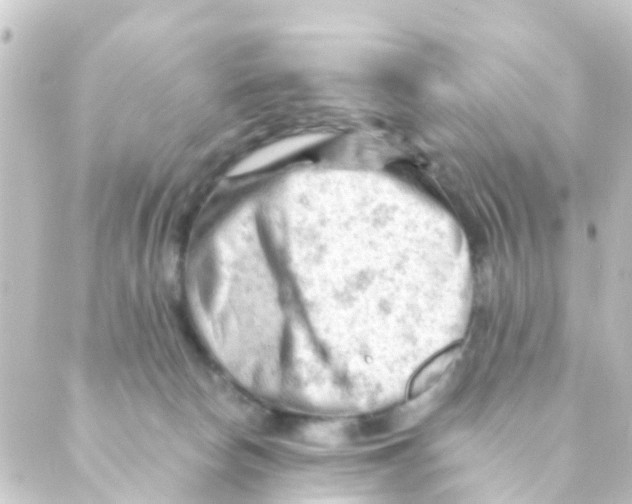 X0000088650178200706221619